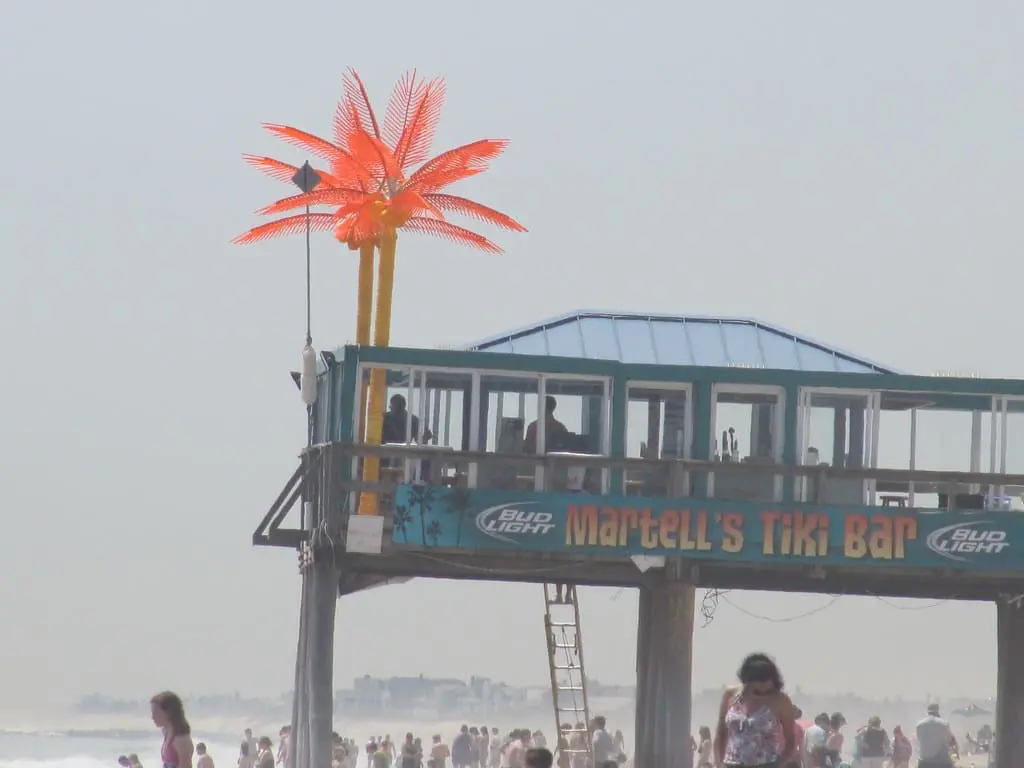 4627022501 cc386a9102 b