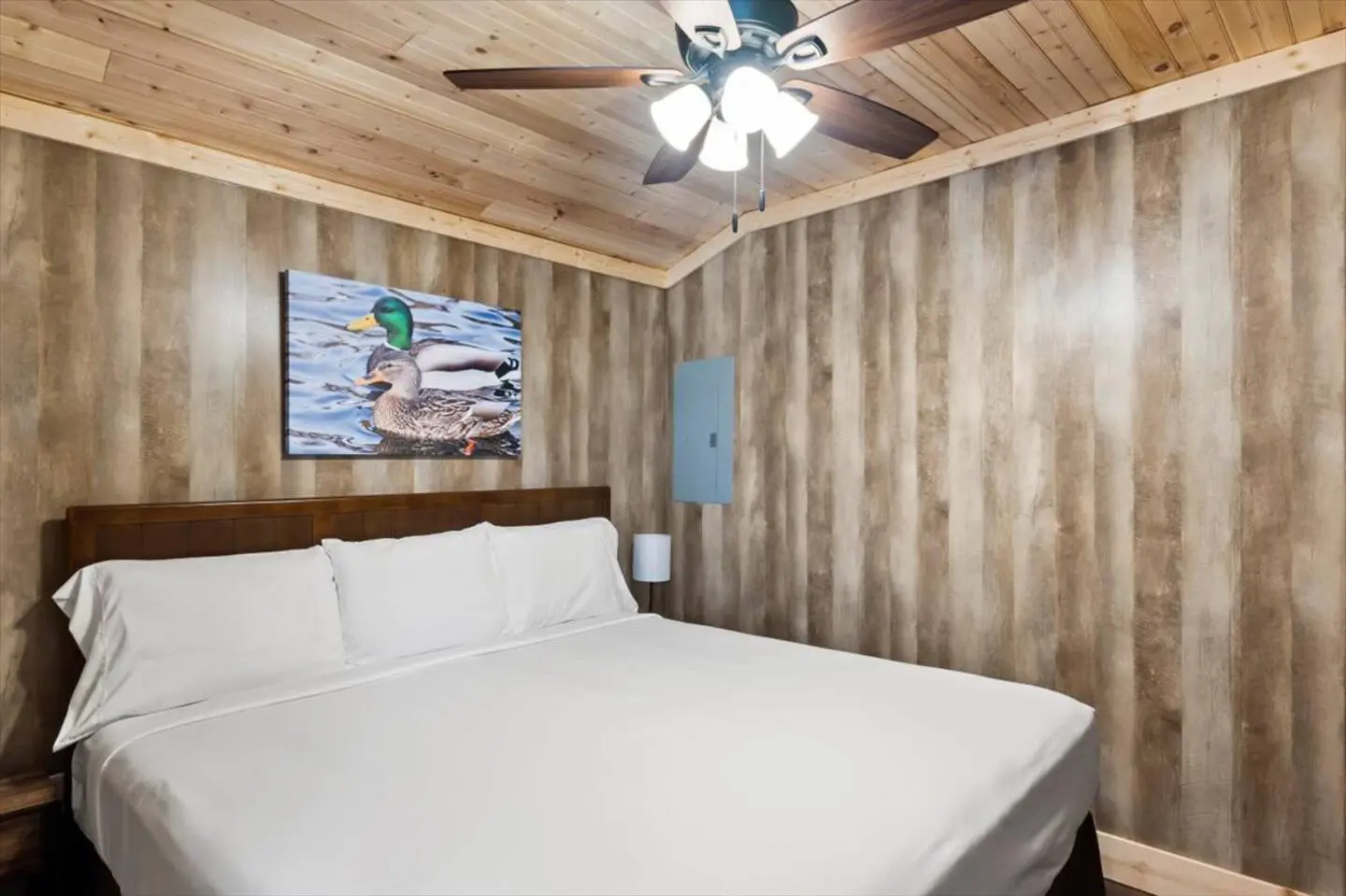 495e5b1a 0ef9 4f6e 86f8 d7dcedb8a1f1