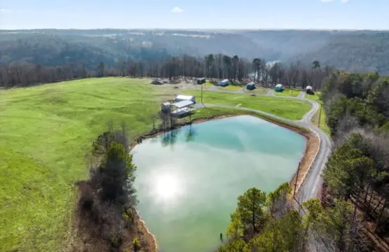 54cd919c 6280 4921 b75f 6b2802b3e7ff