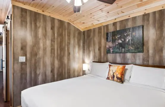 c8a67729 a0b5 4668 a36d 8f7f736409bb