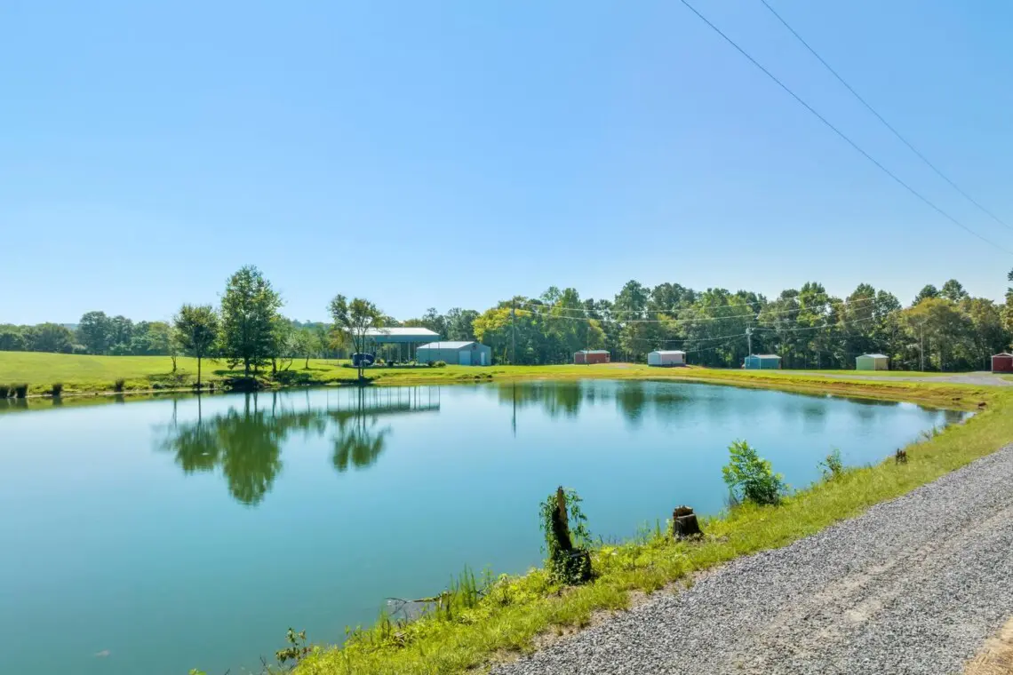 55b15617 5b06 4964 b6b0 2c3a388b175a