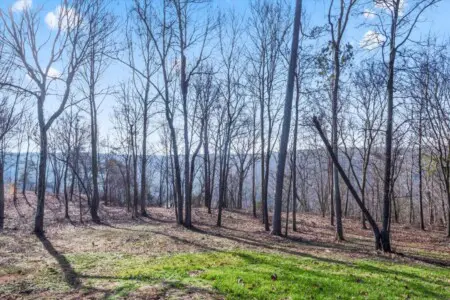 b16ef82d 2309 44e7 871b 4a7003113520