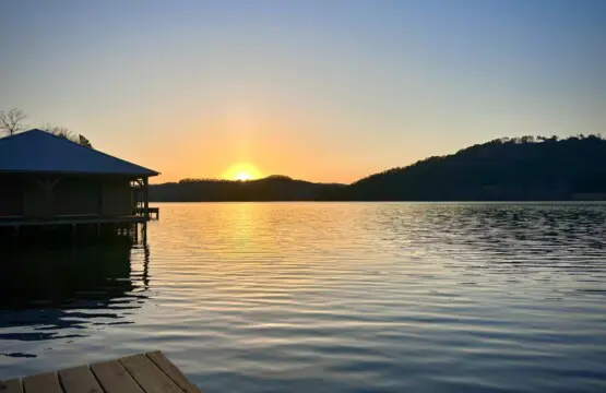 b553c8e3 2596 4f24 901f 84e403283c69