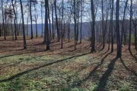 58cd282f 91cd 4a16 9b73 90cc47345ab7