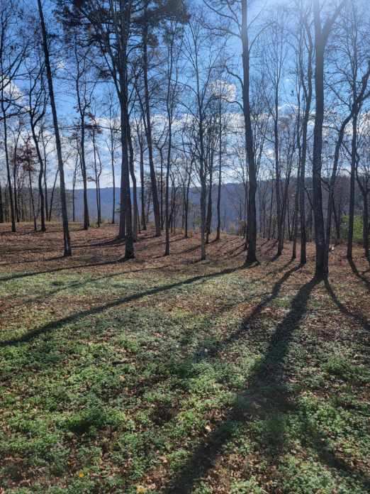 58cd282f 91cd 4a16 9b73 90cc47345ab7